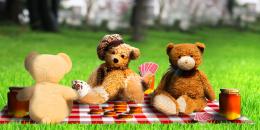 Poker Picnic